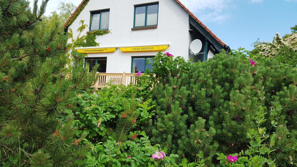 Haus Seefeld Иккериц Номер фото